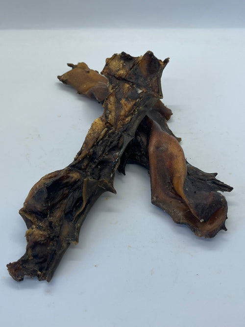 Base Oreille de Boeuf Trotte & Mastik