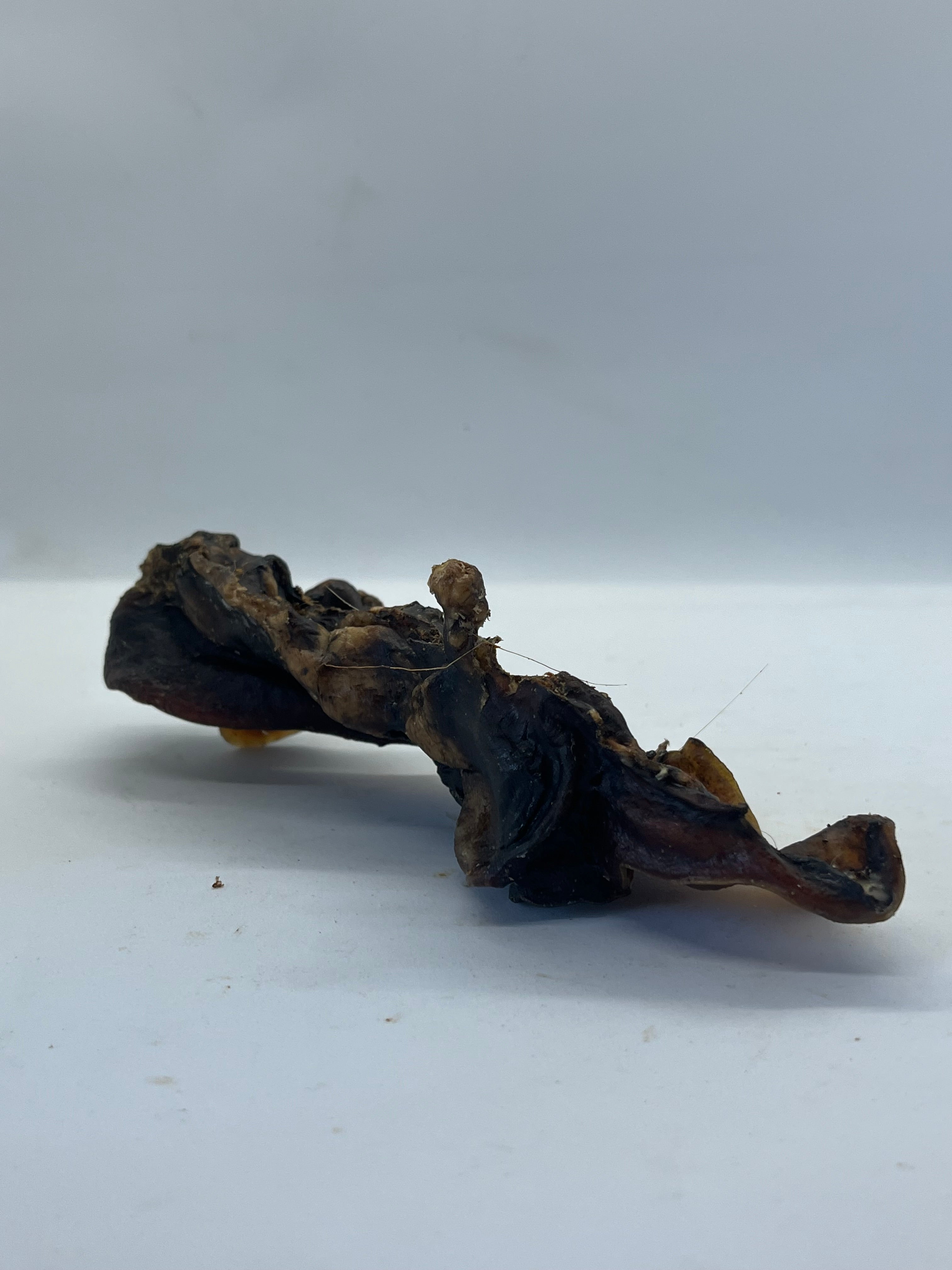 Base Oreille de Boeuf Trotte & Mastik