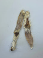 Oreilles de Lapin avec poils Trotte & Mastik