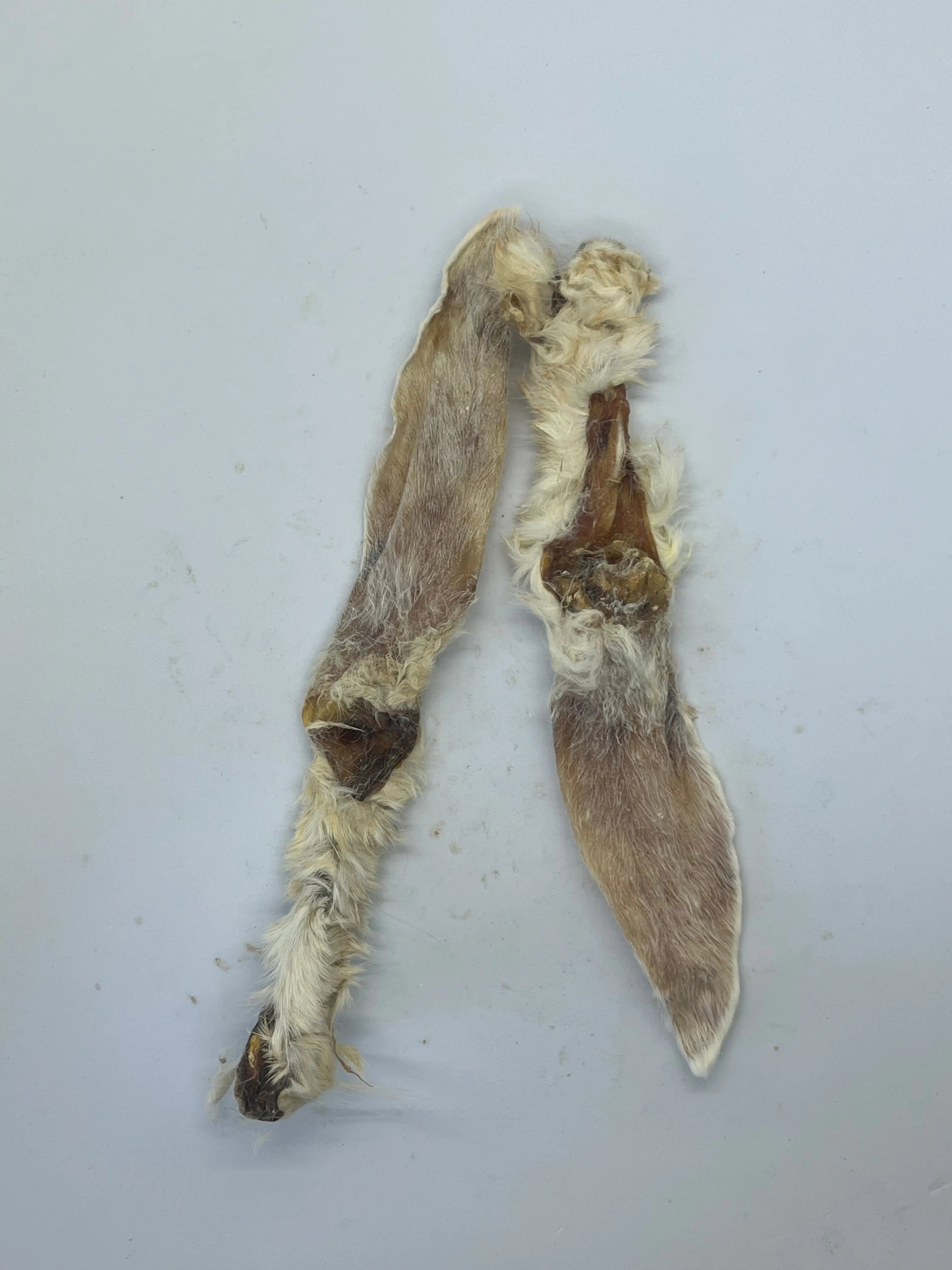 Oreilles de Lapin avec poils Trotte & Mastik