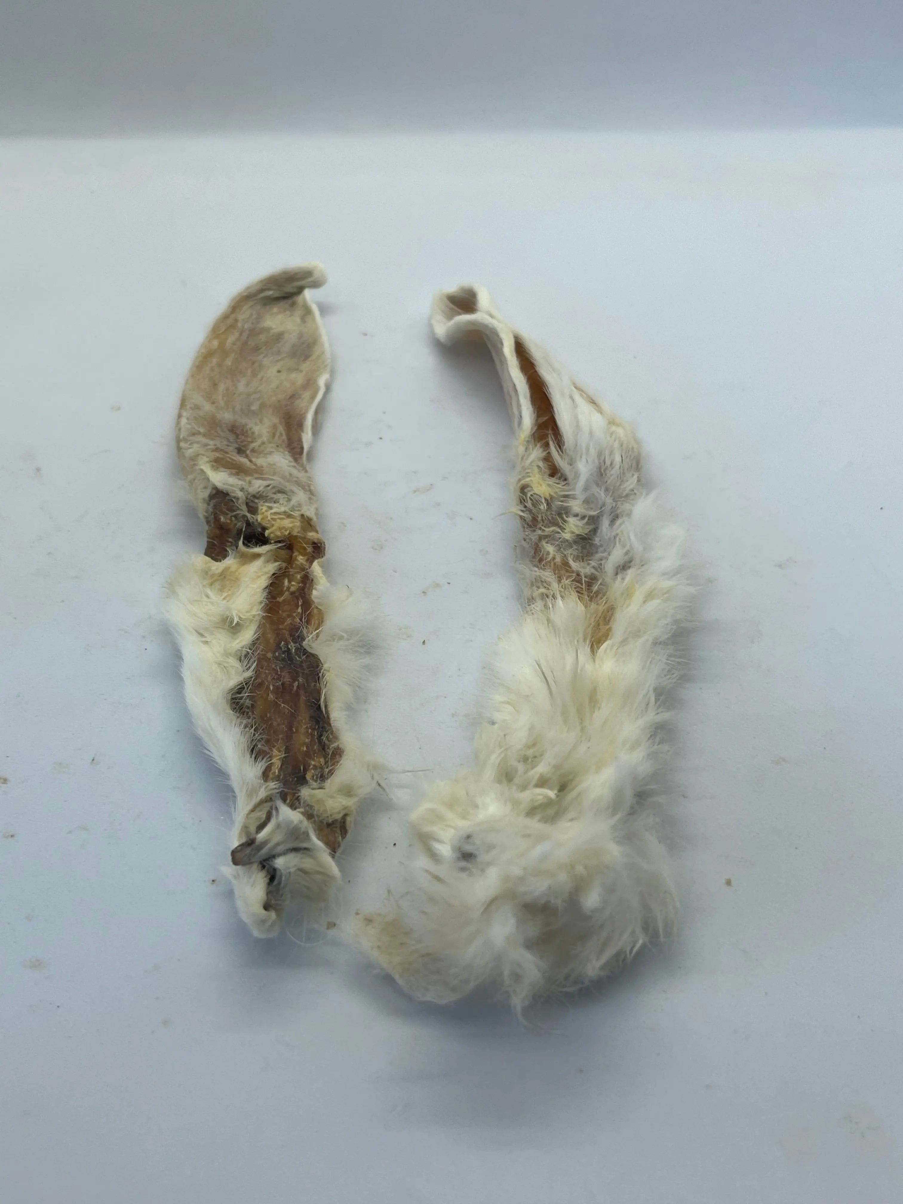 Oreilles de Lapin avec poils Trotte & Mastik