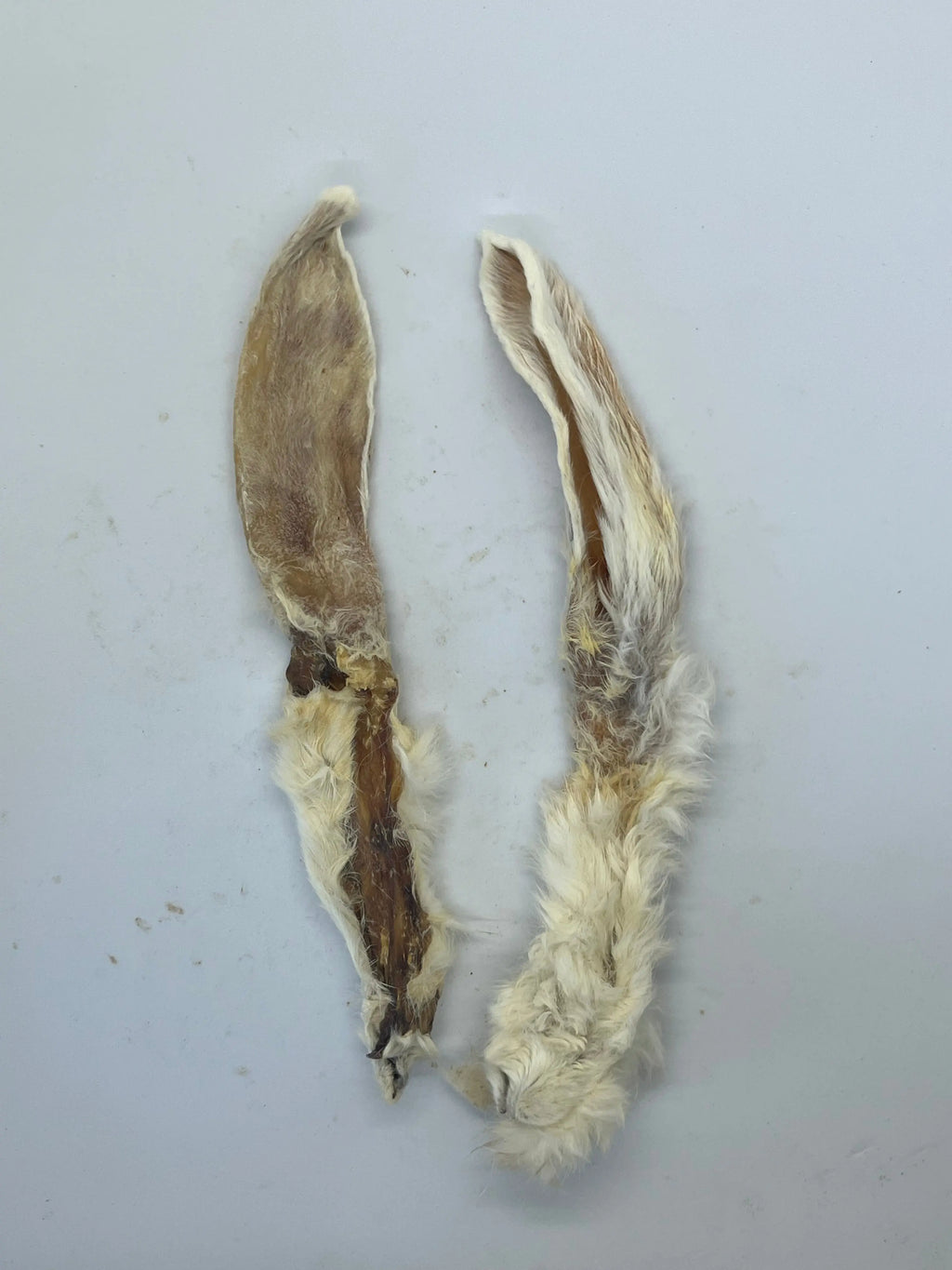 Oreilles de Lapin avec poils Trotte & Mastik