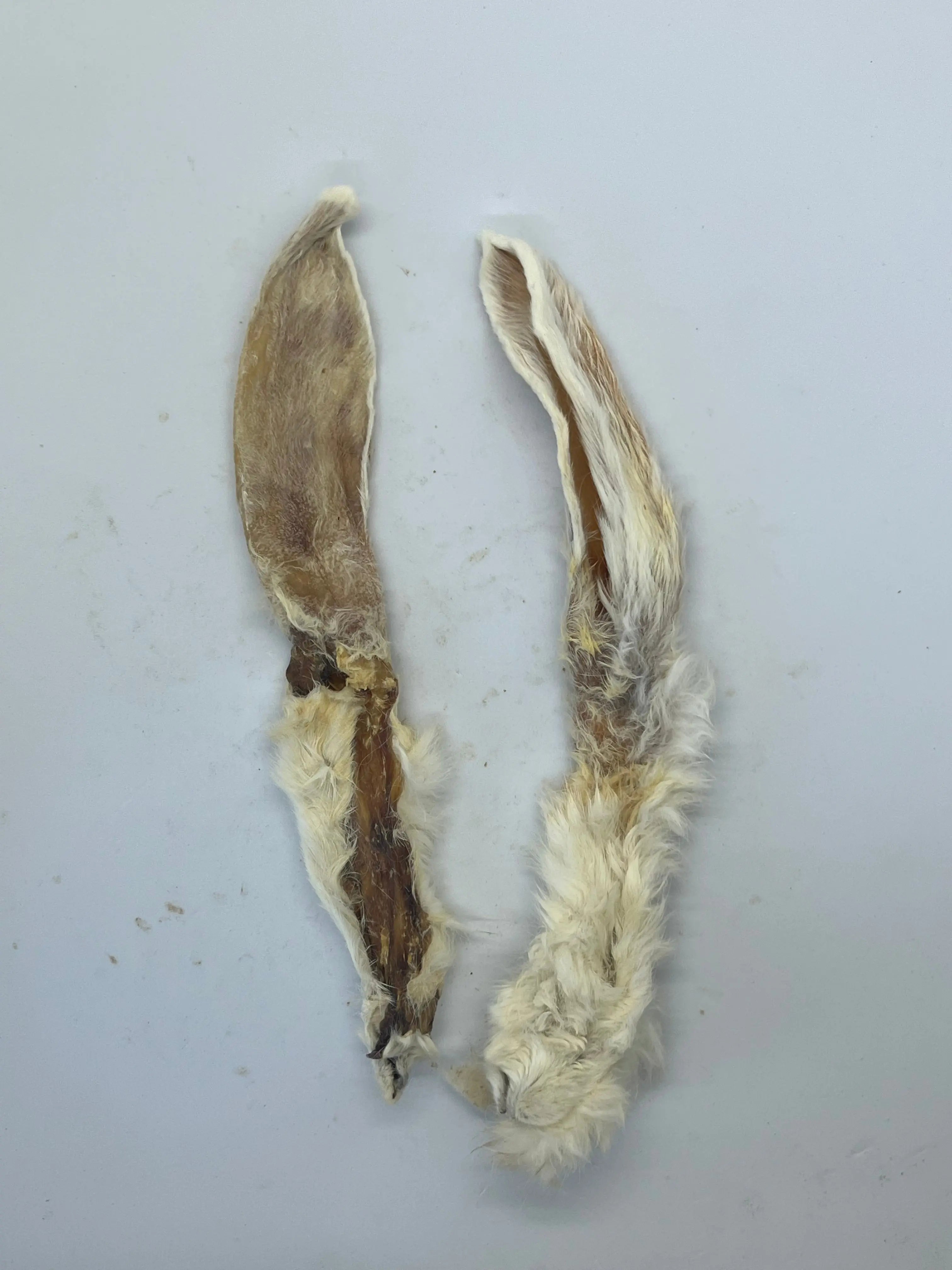 Oreilles de Lapin avec poils Trotte & Mastik