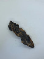 Base Oreille de Boeuf Trotte & Mastik