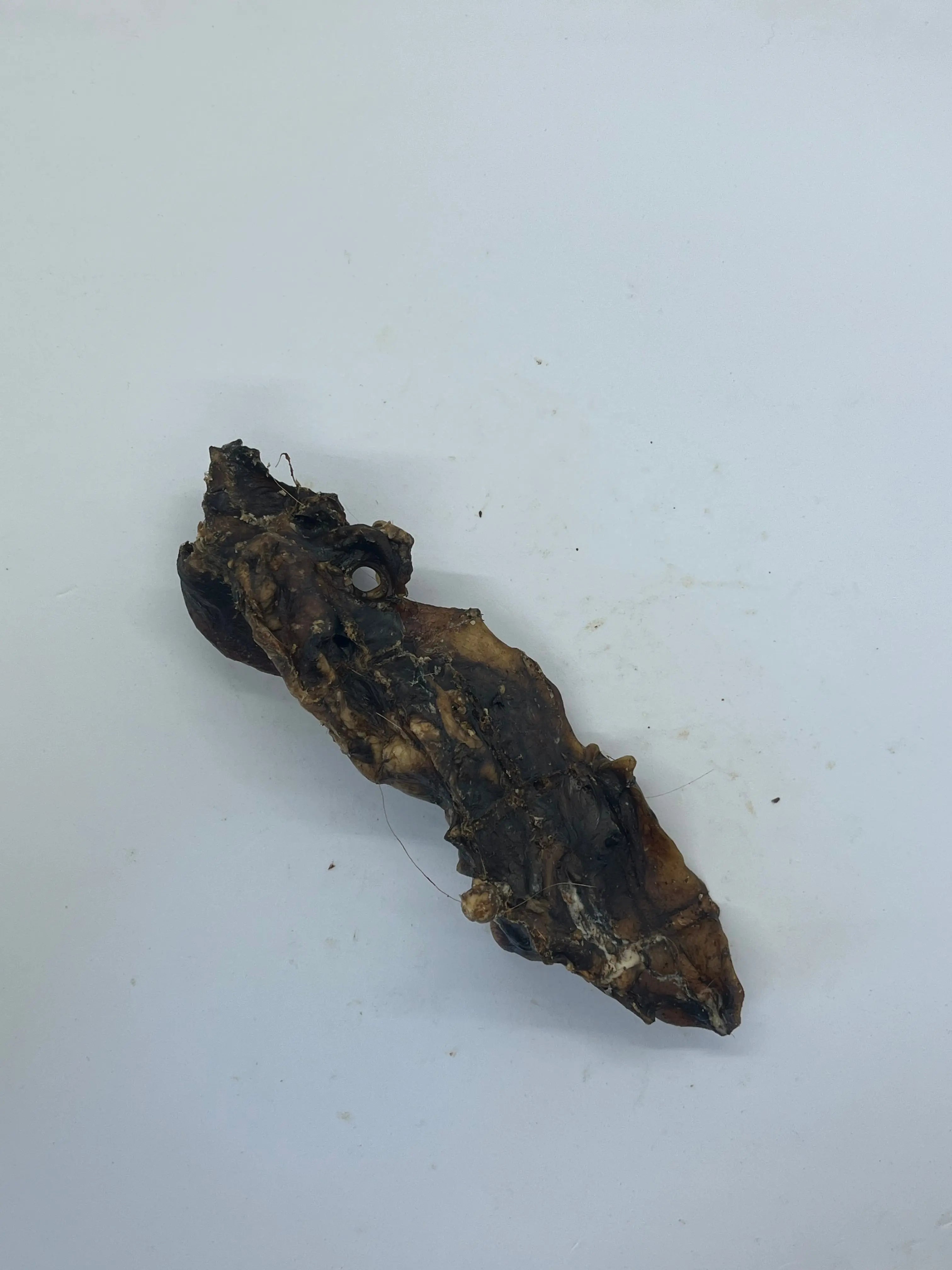Base Oreille de Boeuf Trotte & Mastik