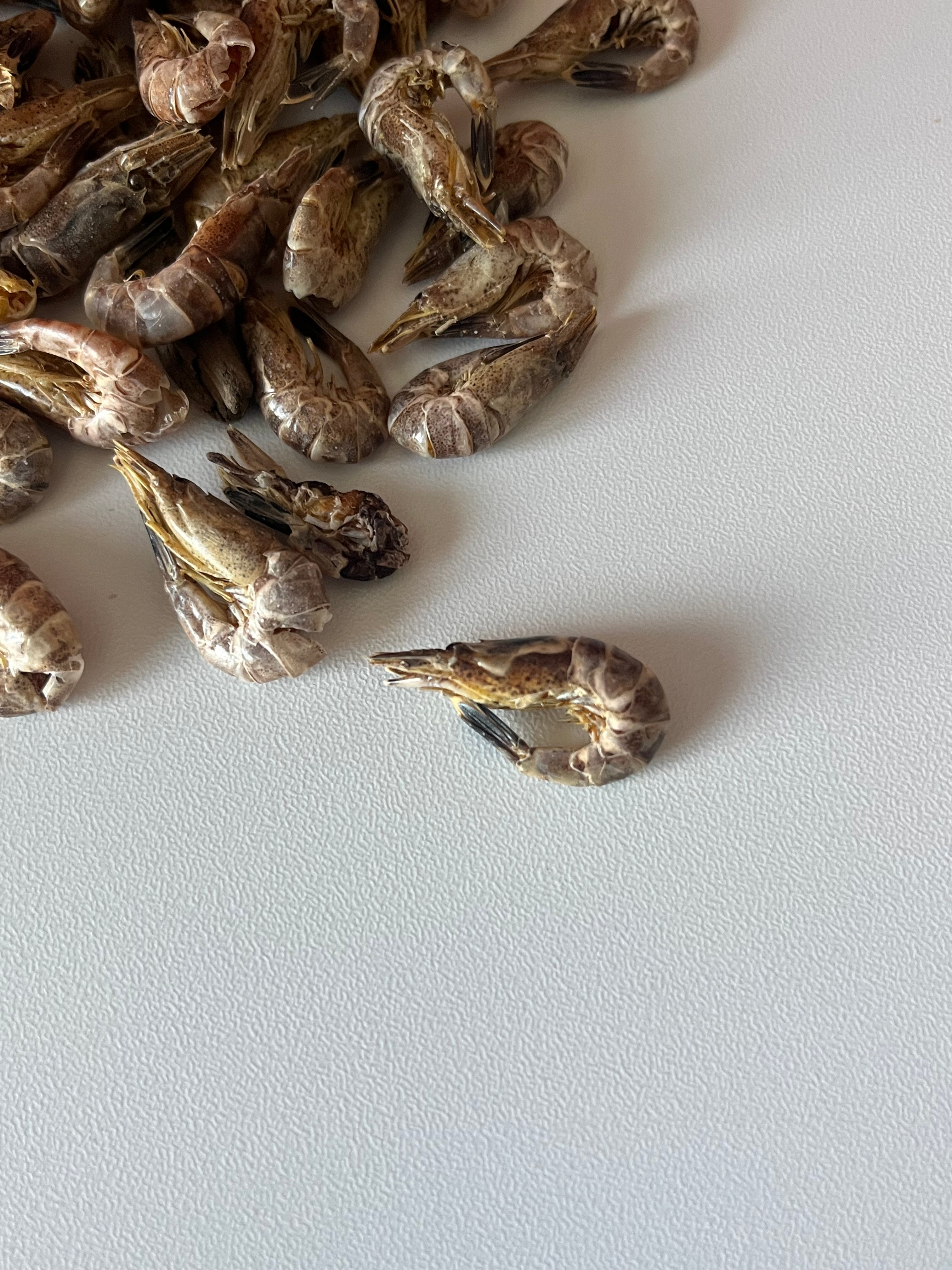Crevettes Grises