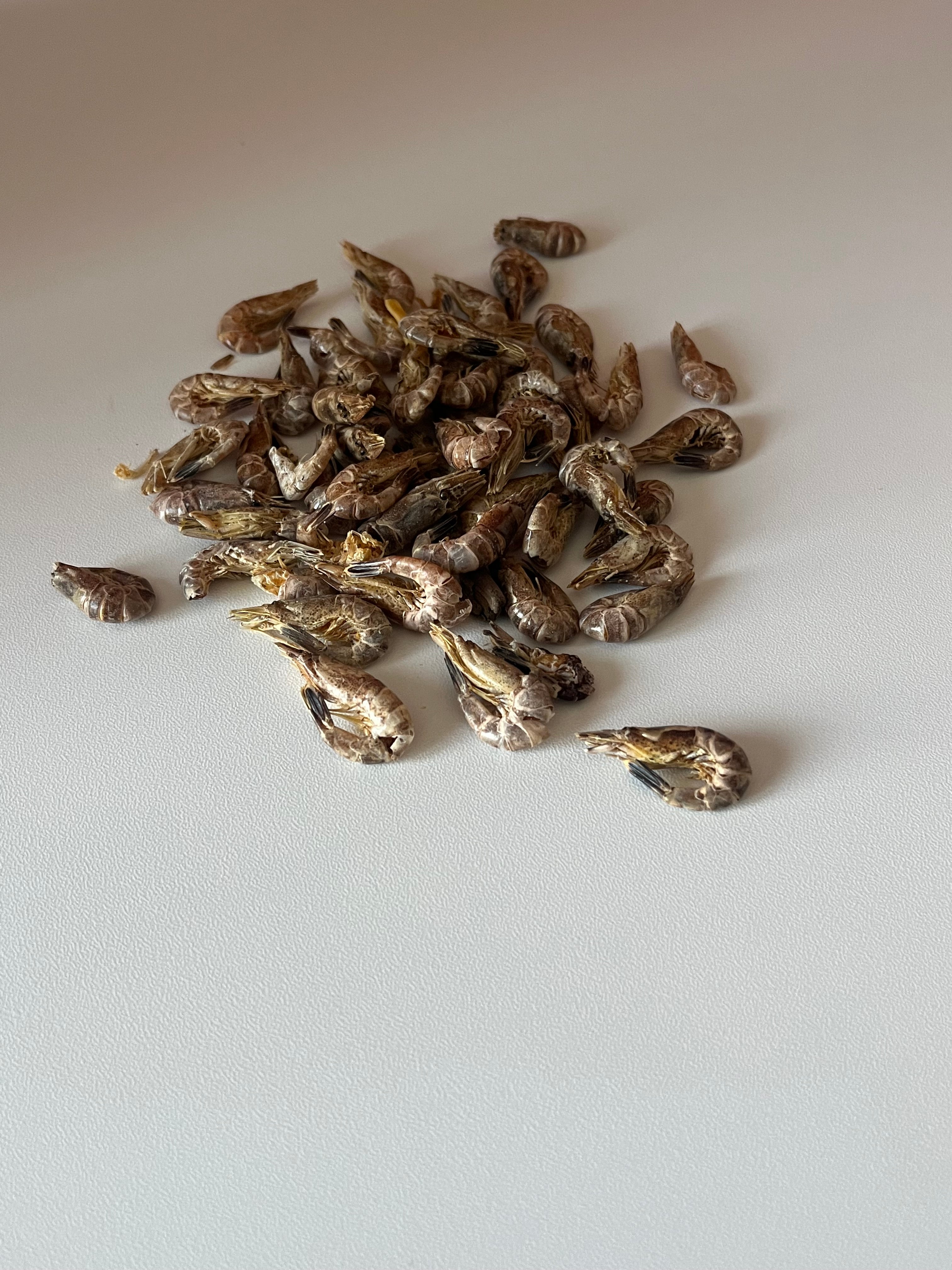 Crevettes Grises