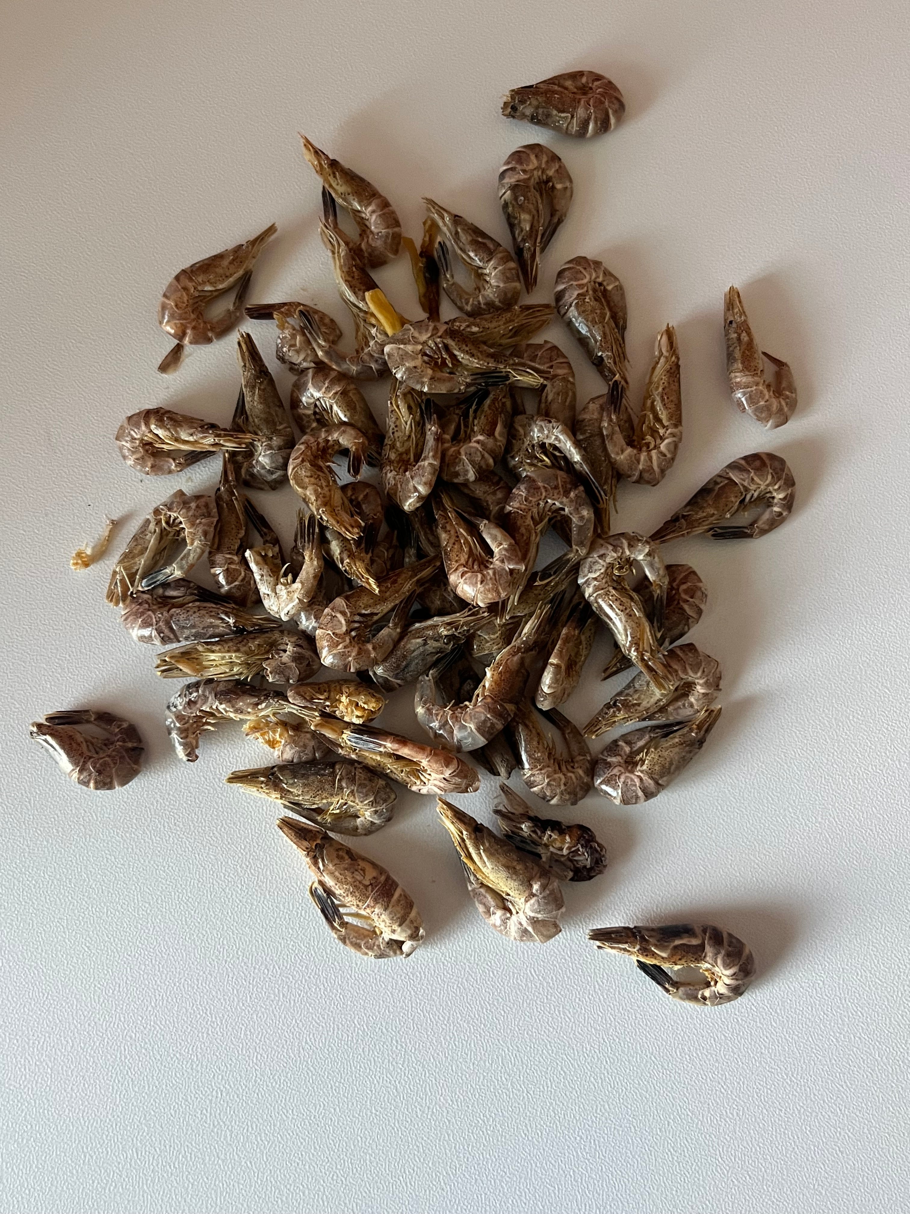 Crevettes Grises