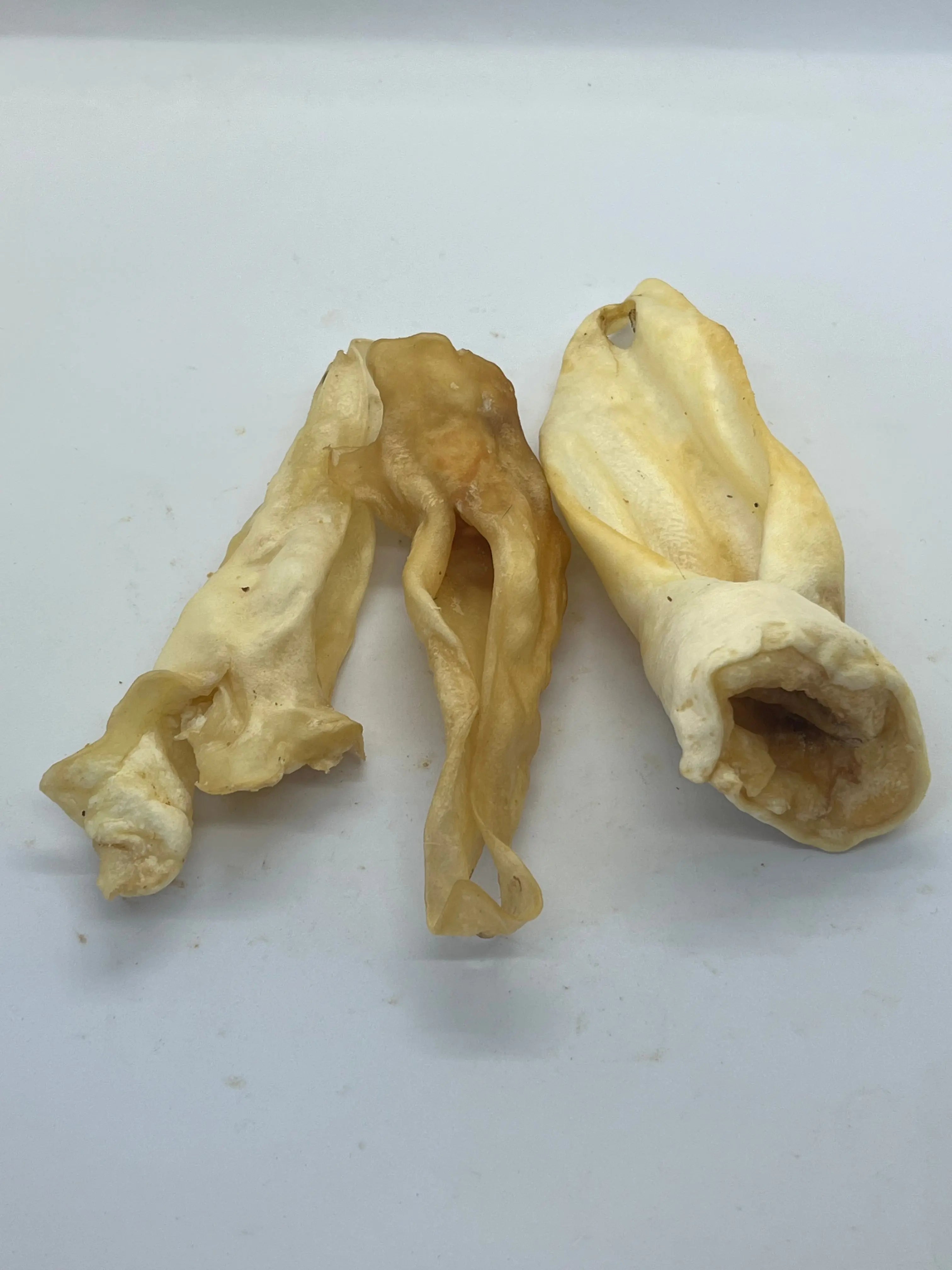 Oreilles d'Agneau Trotte & Mastik