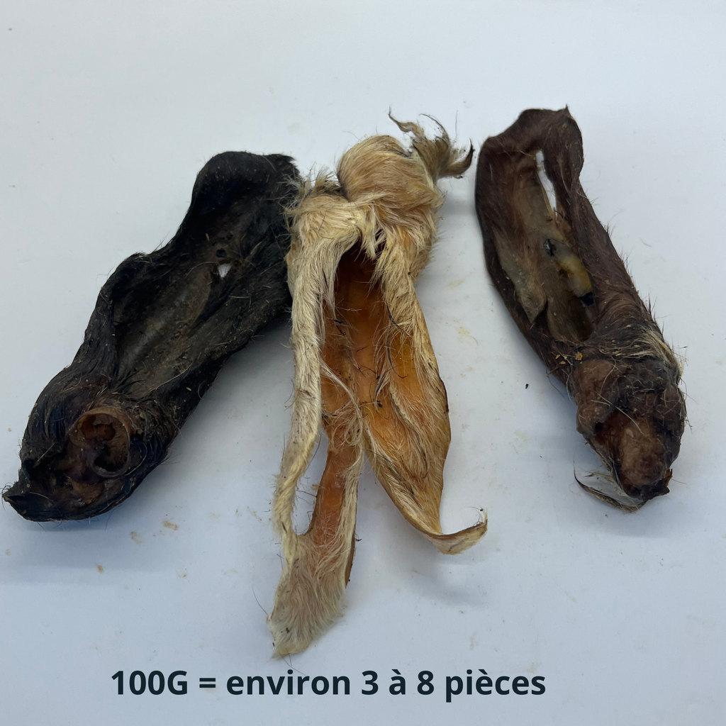 Oreilles d'Agneau avec poils Trotte & Mastik