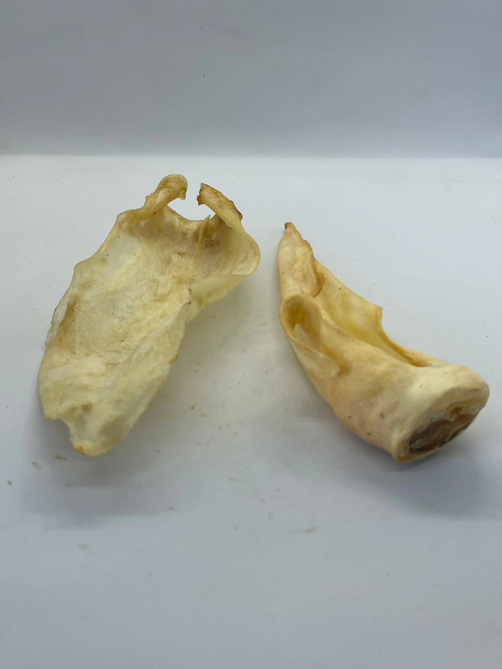 Oreilles de Chèvre Trotte & Mastik