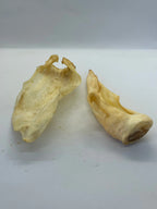 Oreilles de Chèvre Trotte & Mastik