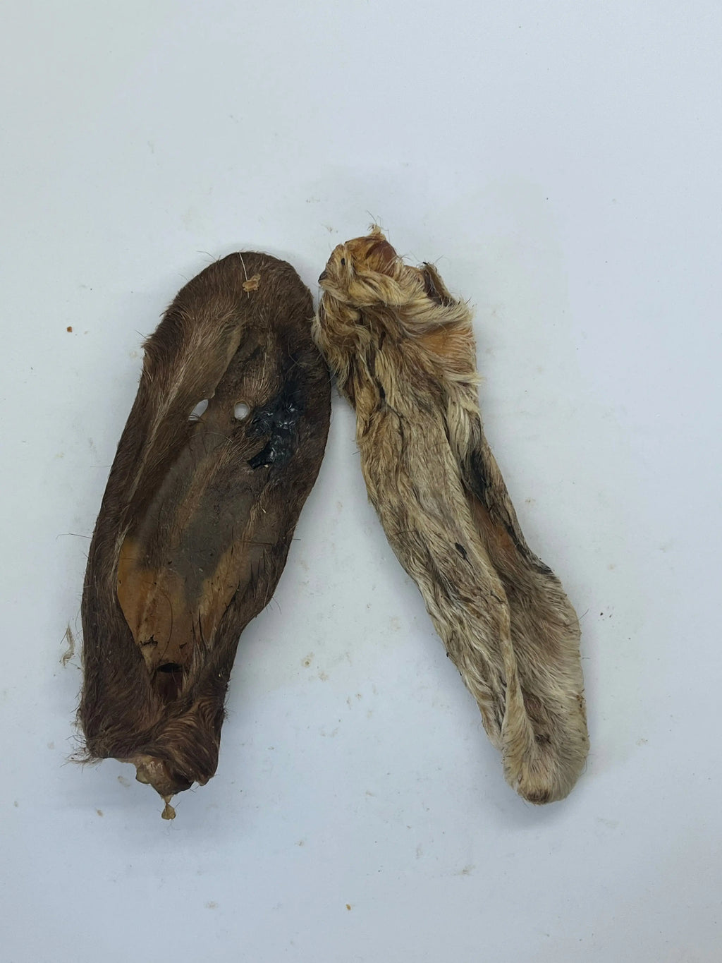 Oreilles de Chèvre avec poils Trotte & Mastik