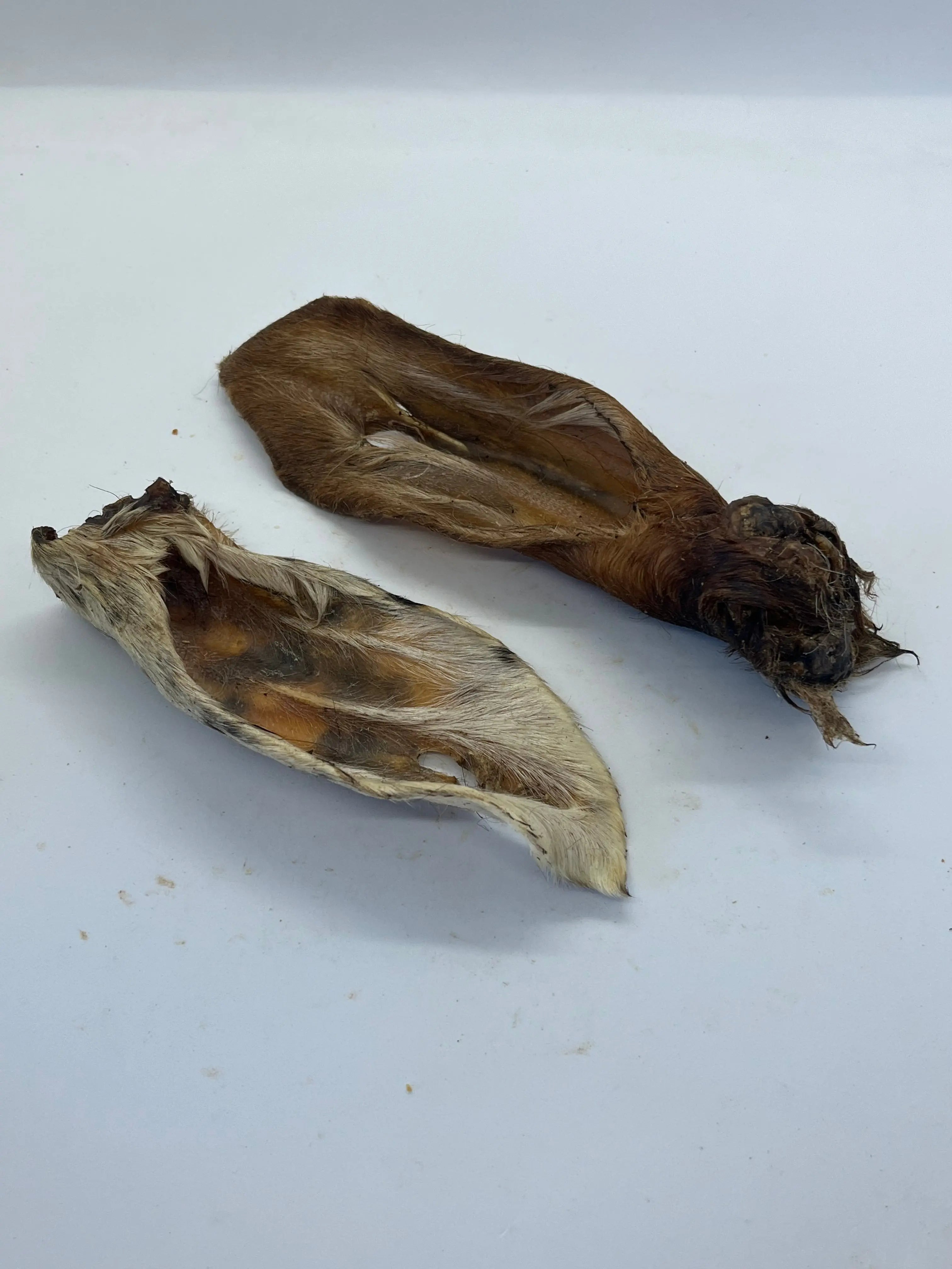 Oreilles de Chèvre avec poils Trotte & Mastik
