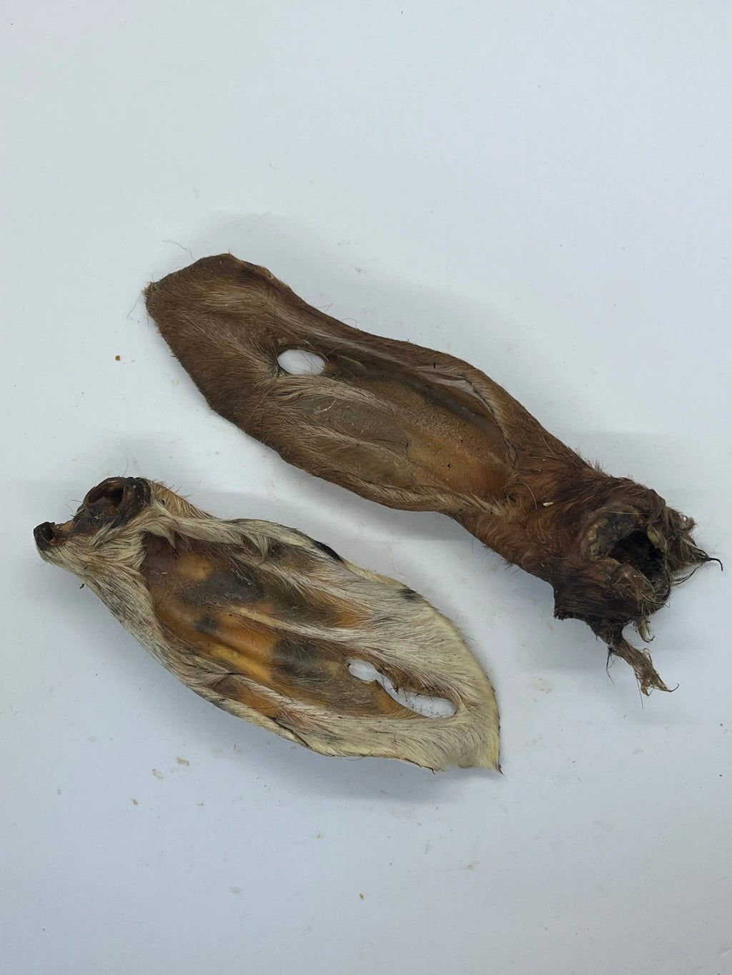 Oreilles de Chèvre avec poils Trotte & Mastik