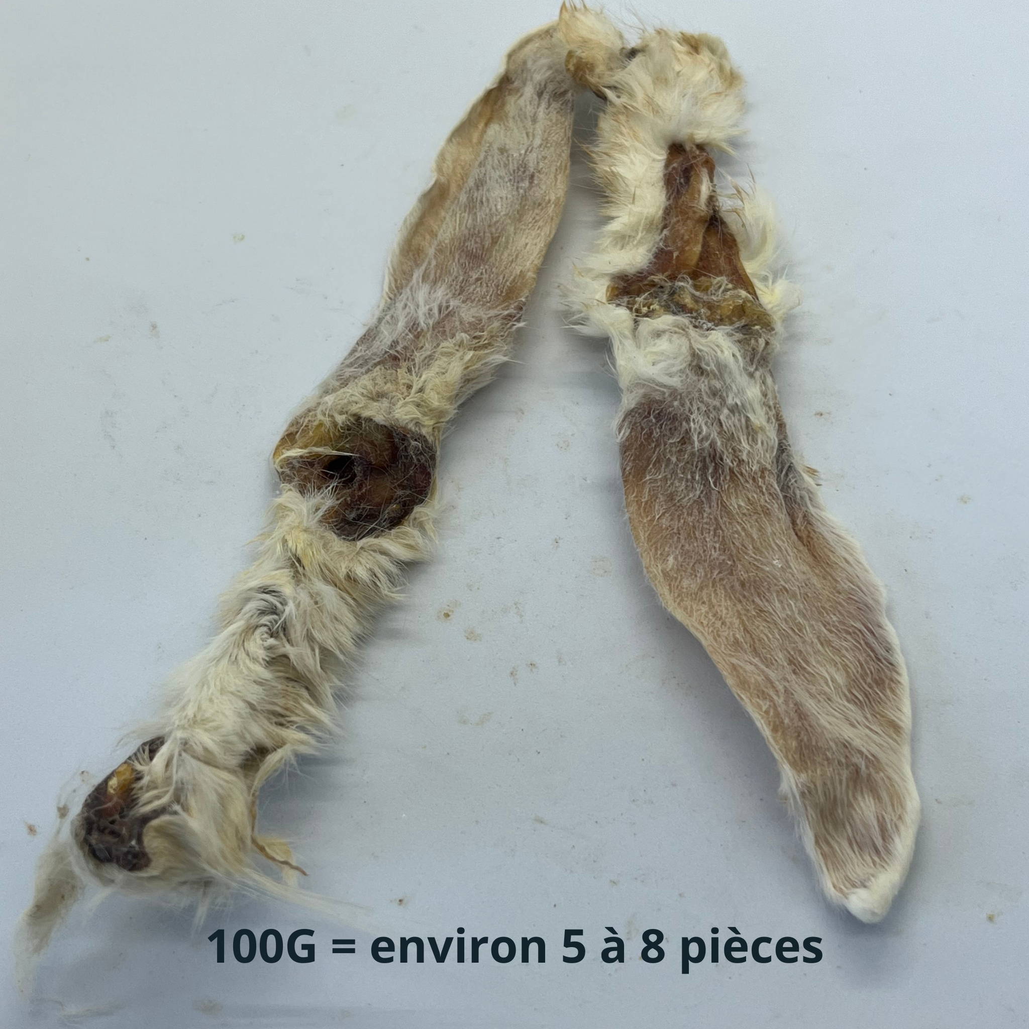 Oreilles de Lapin avec poils Trotte & Mastik