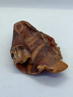 Oreille de Porc Trotte & Mastik