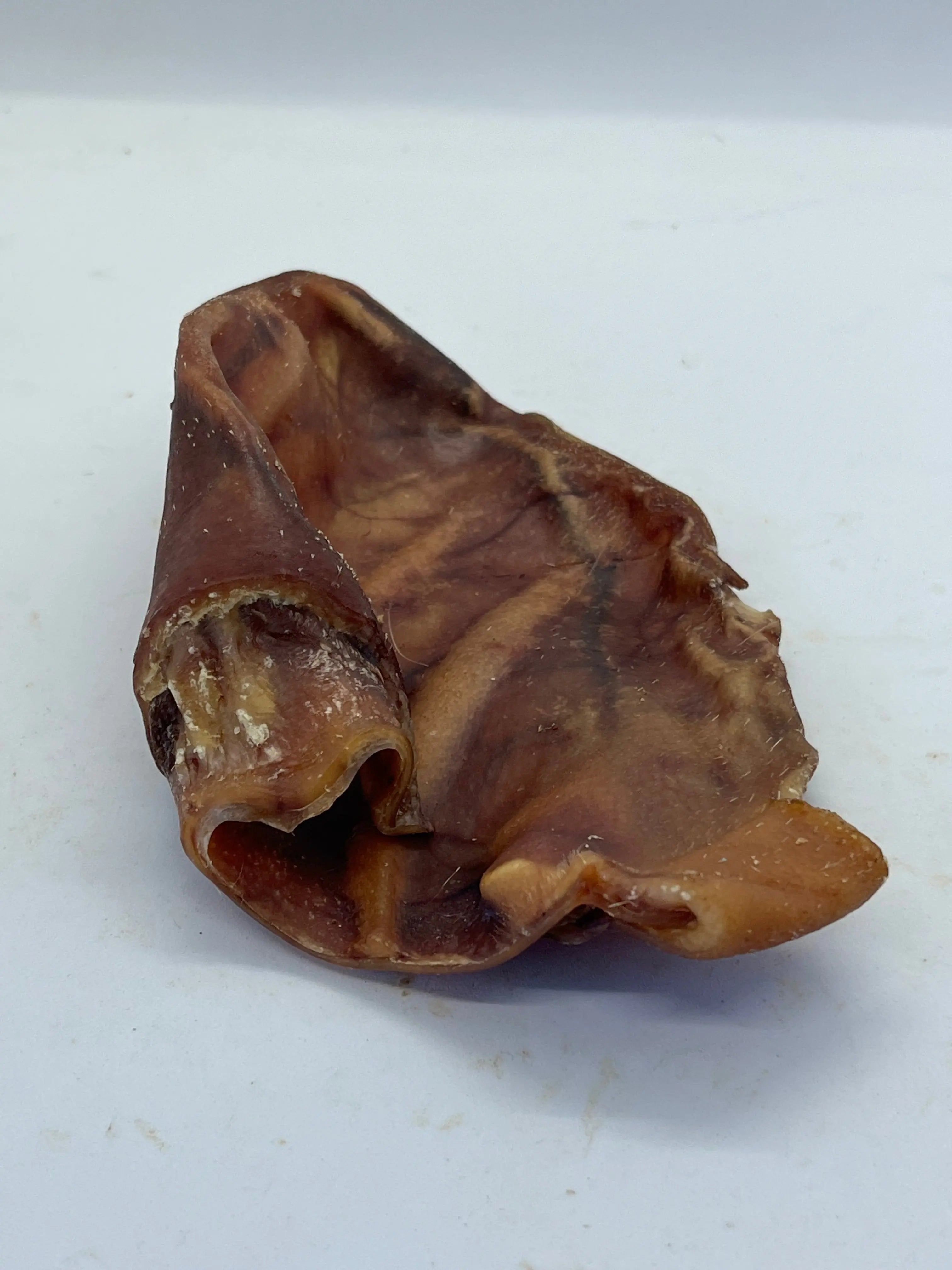 Oreille de Porc Trotte & Mastik