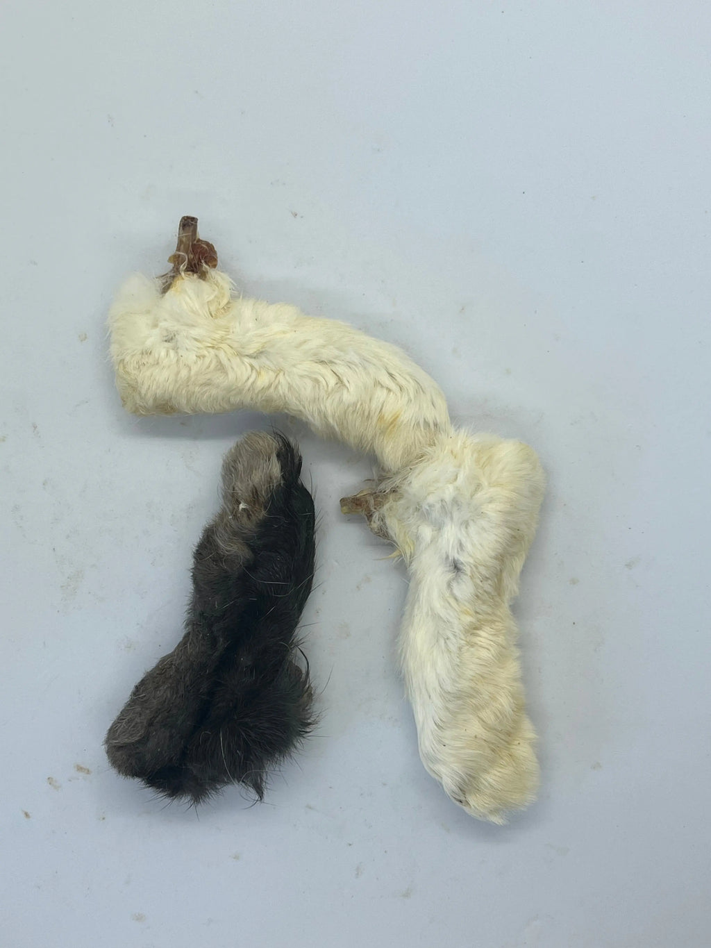 Pattes de Lapin avec poils Trotte & Mastik