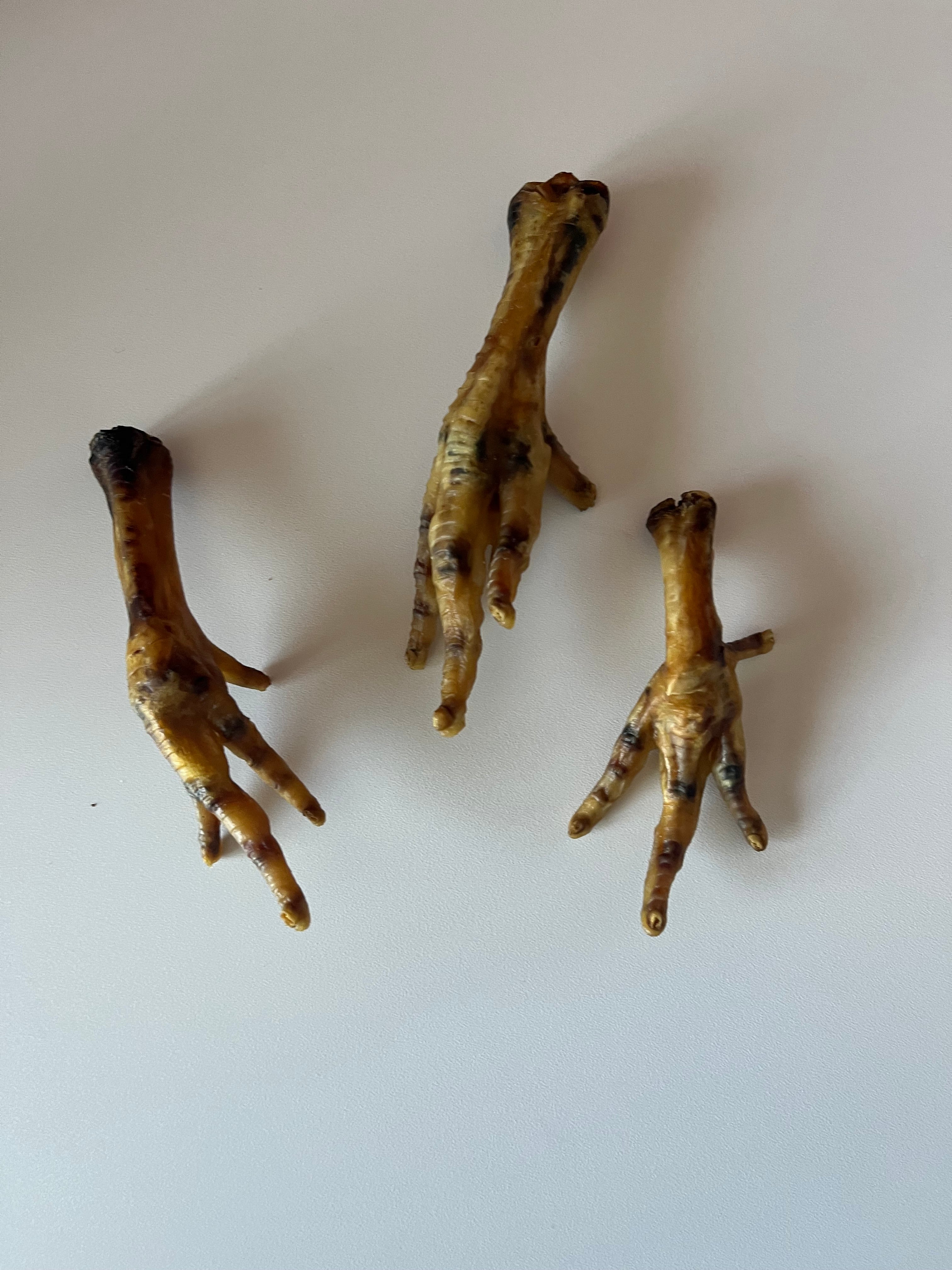 Pattes de poulet