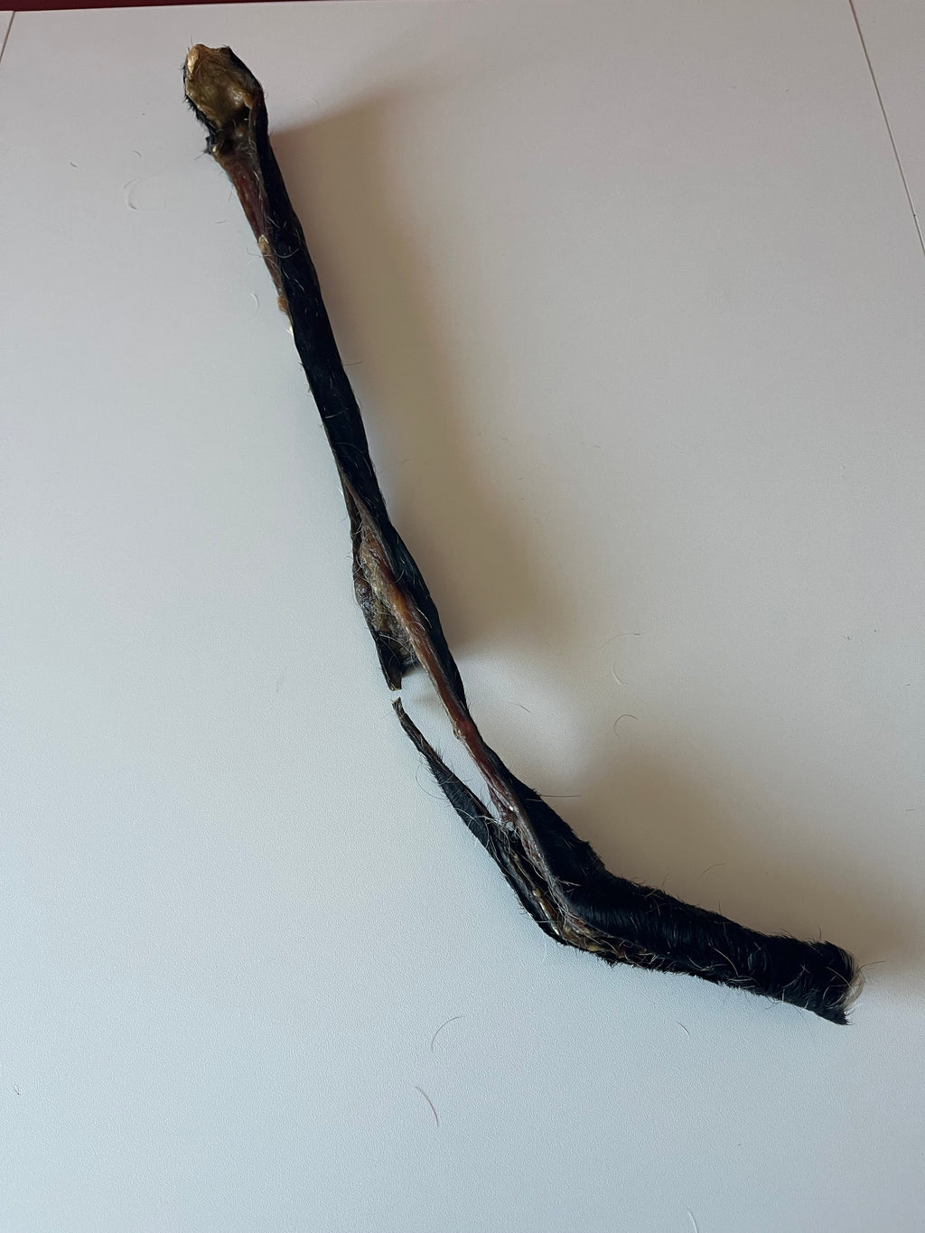 Peau de Boeuf avec poils 50CM
