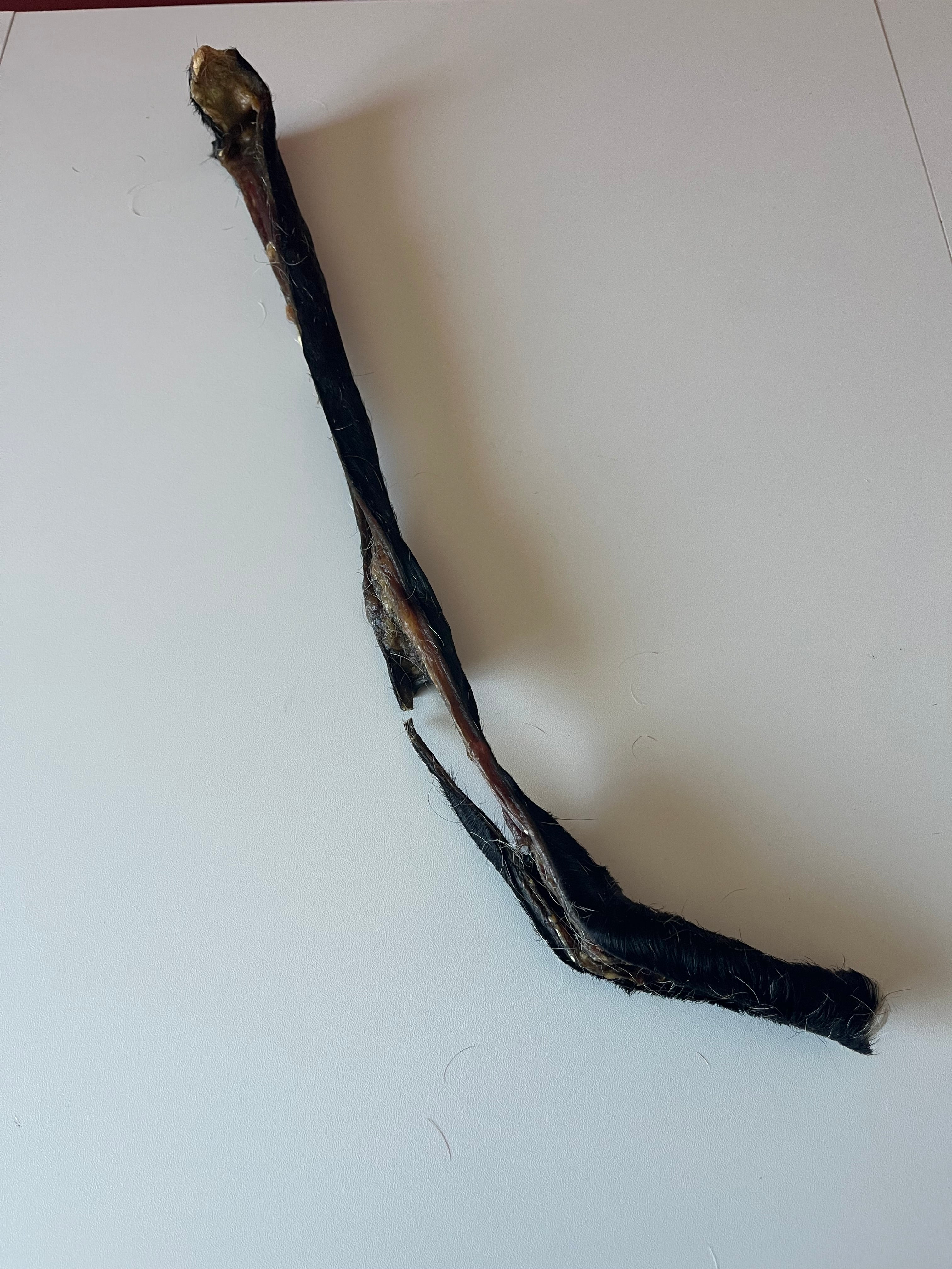 Peau de Boeuf avec poils 50CM