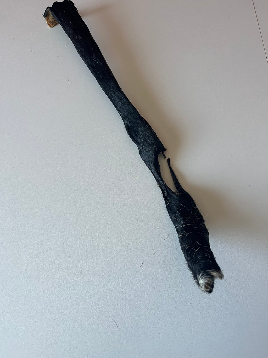 Peau de Boeuf avec poils 50CM