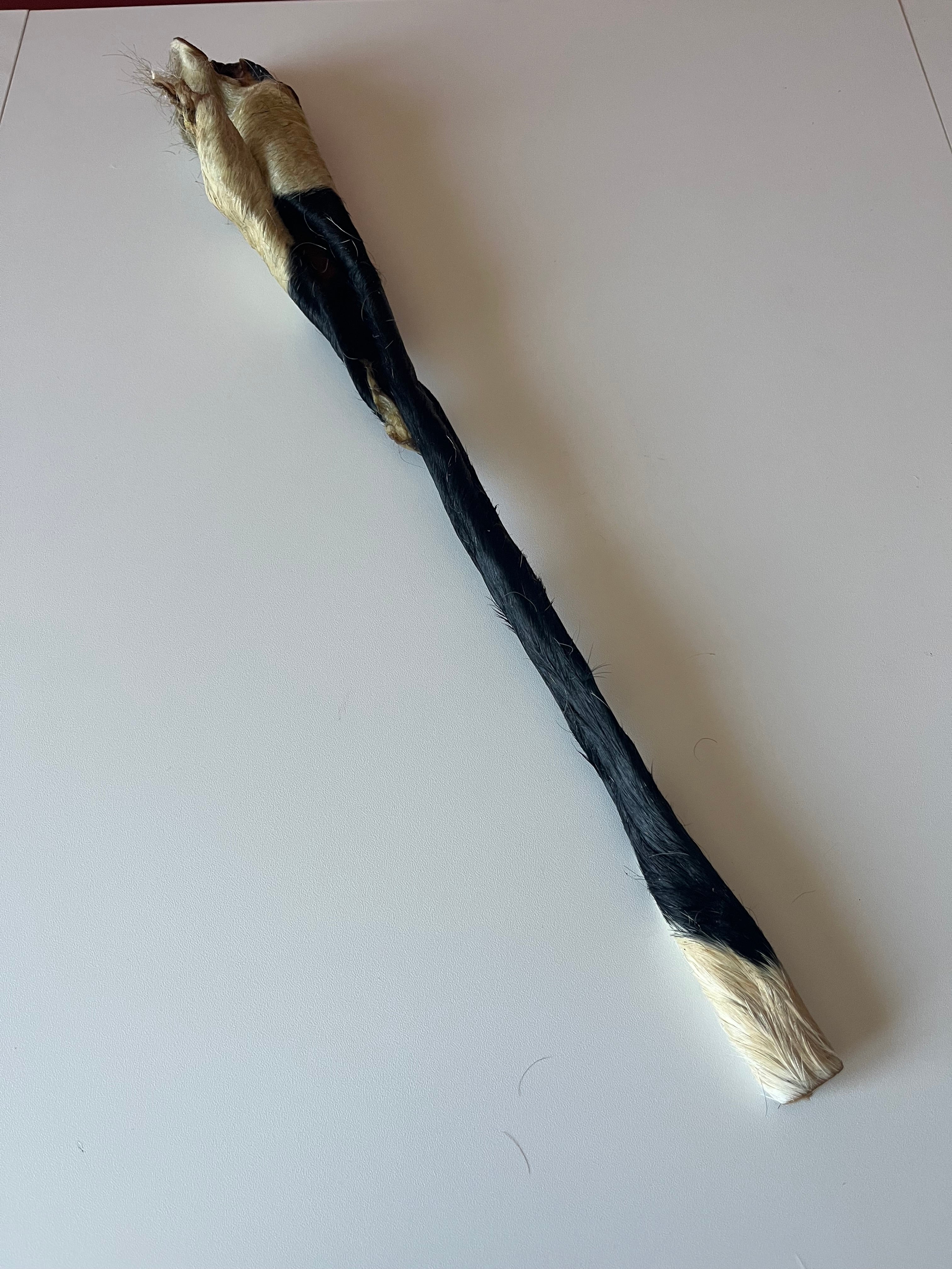 Peau de Boeuf avec poils 50CM