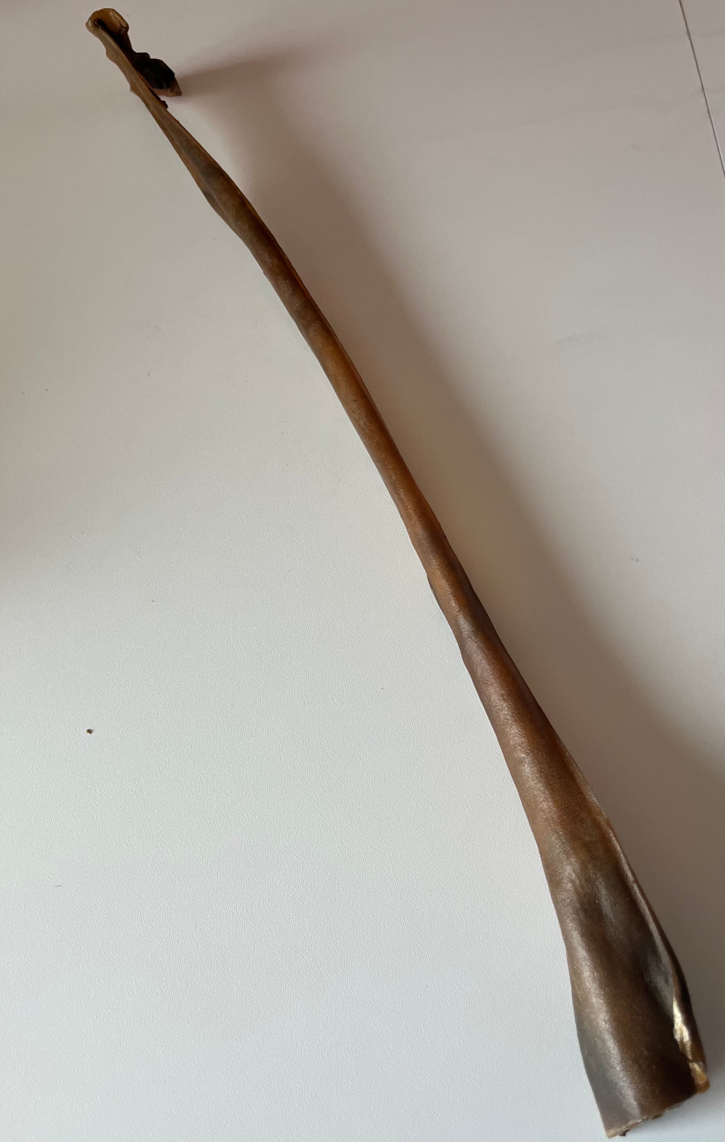 Peau de Cerf 50CM