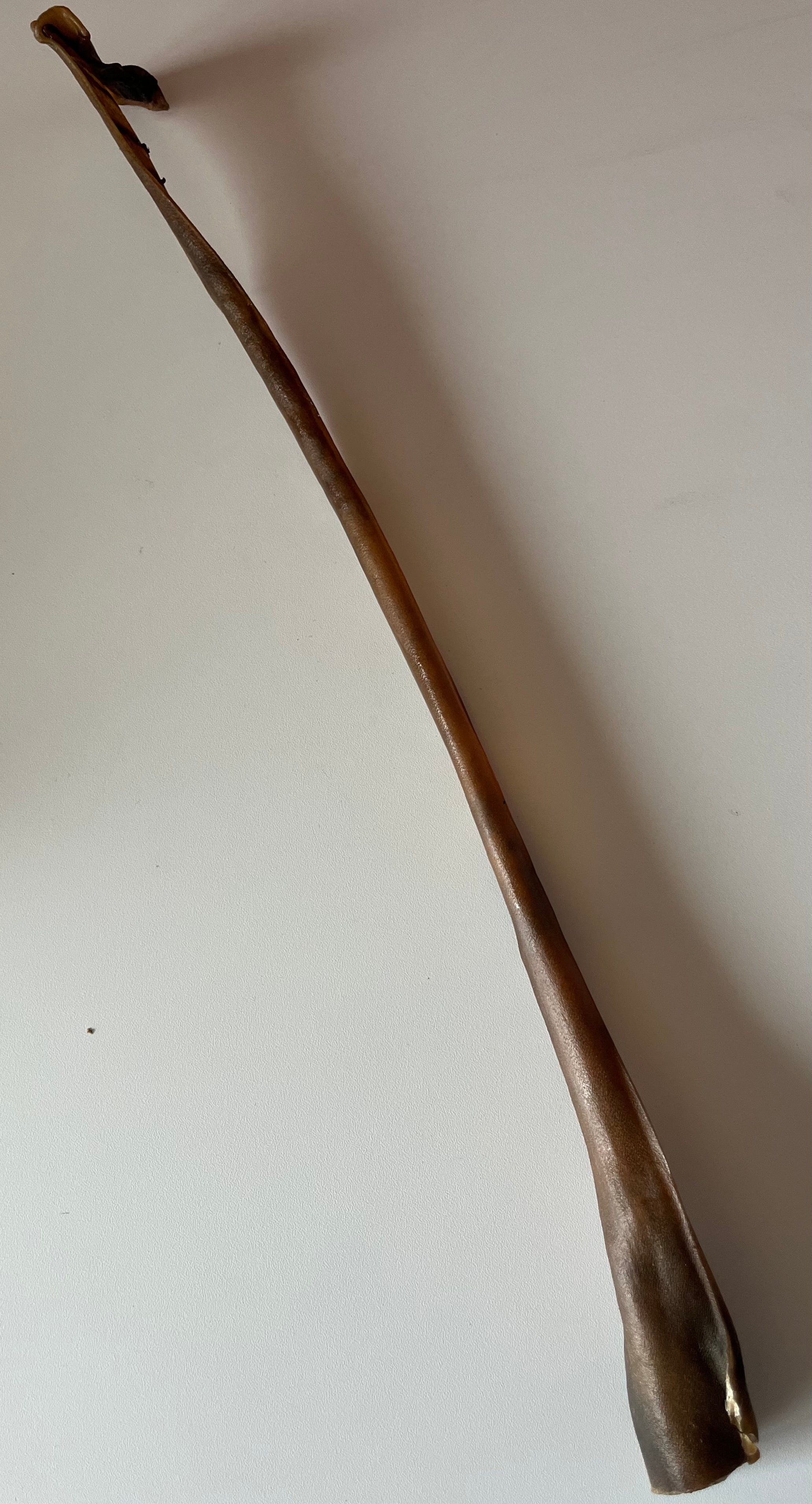 Peau de Cerf 50CM