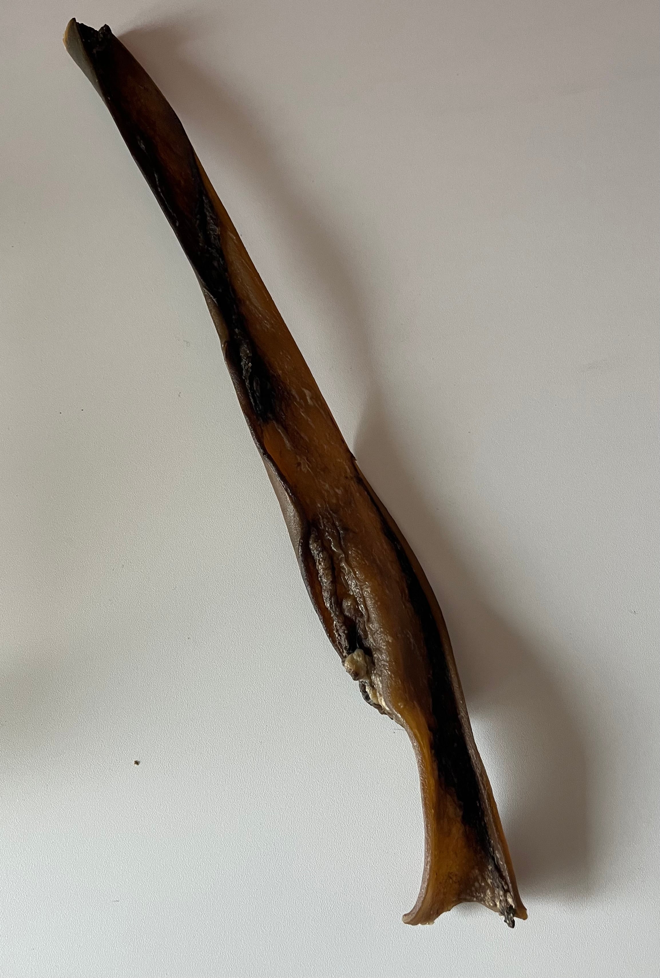 Peau de Cerf 50CM