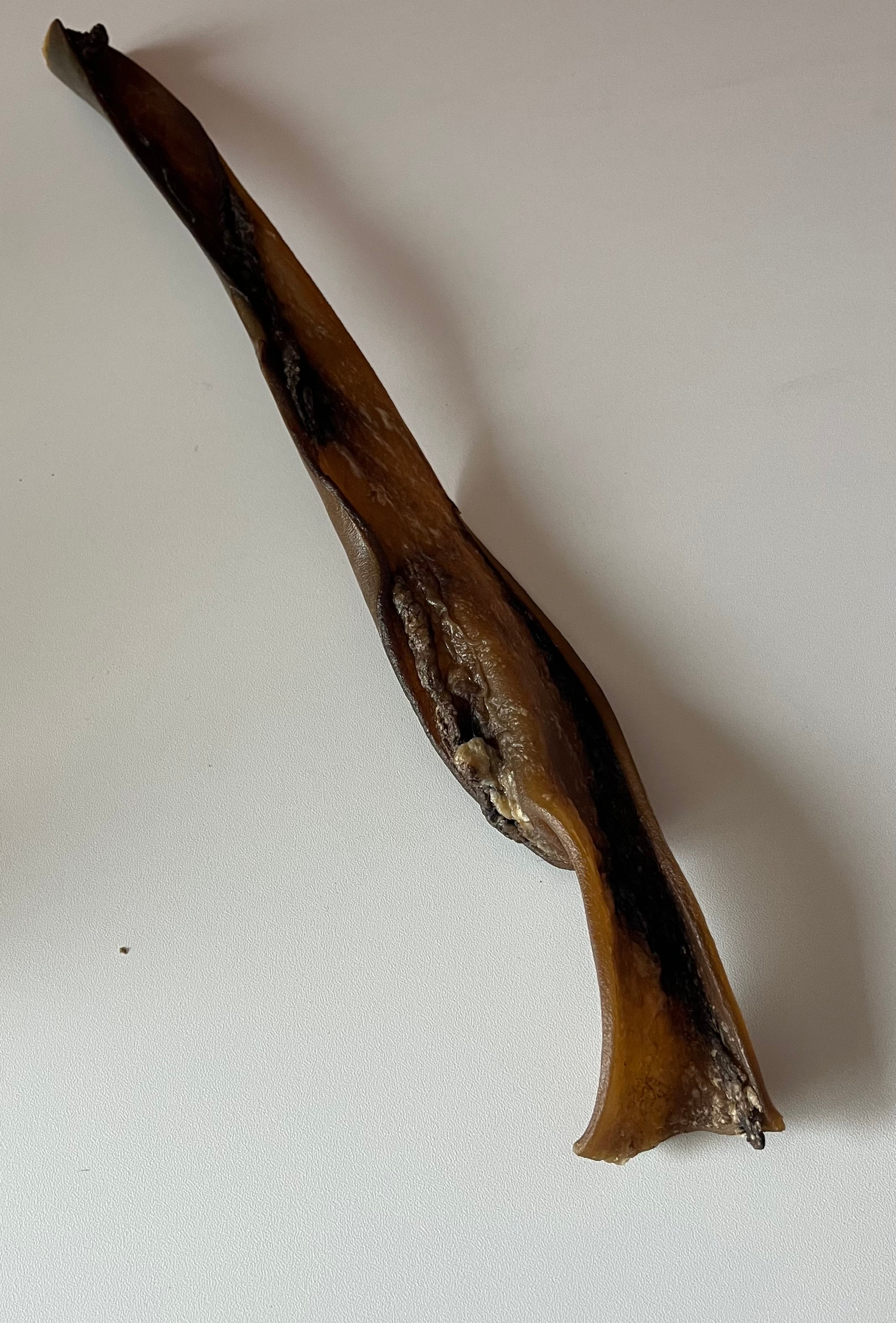 Peau de Cerf 50CM