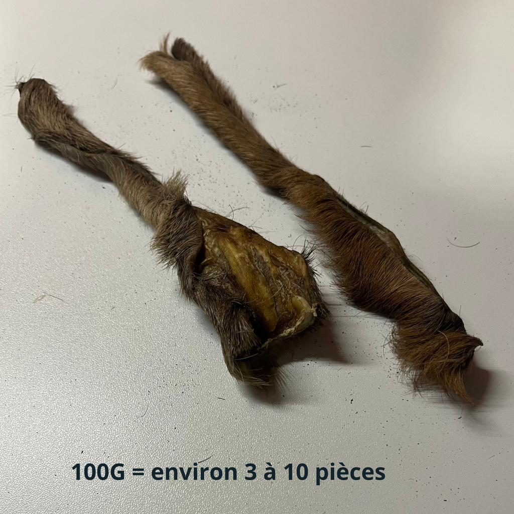 Peau de Cerf avec poils