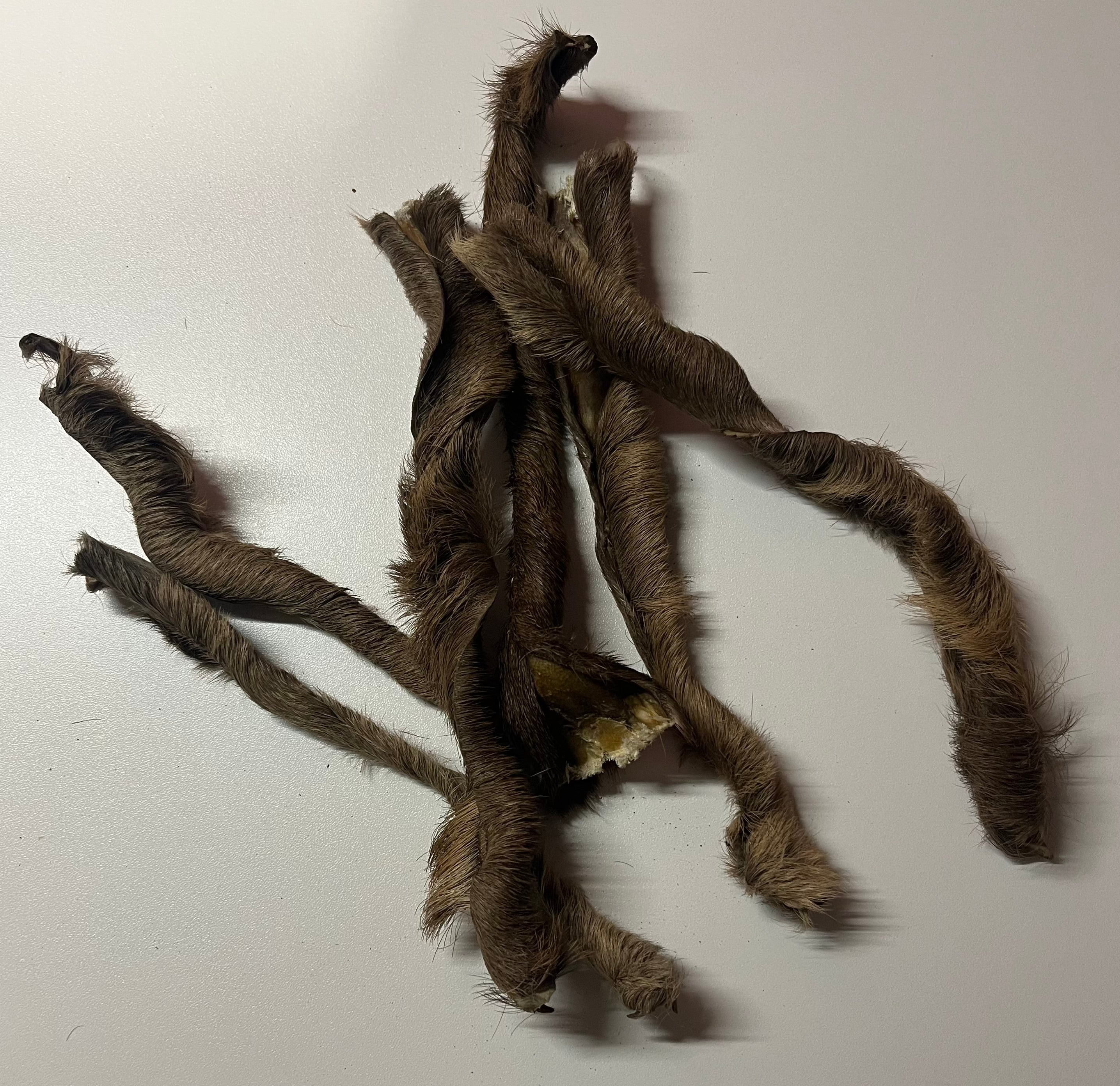 Peau de Cerf avec poils