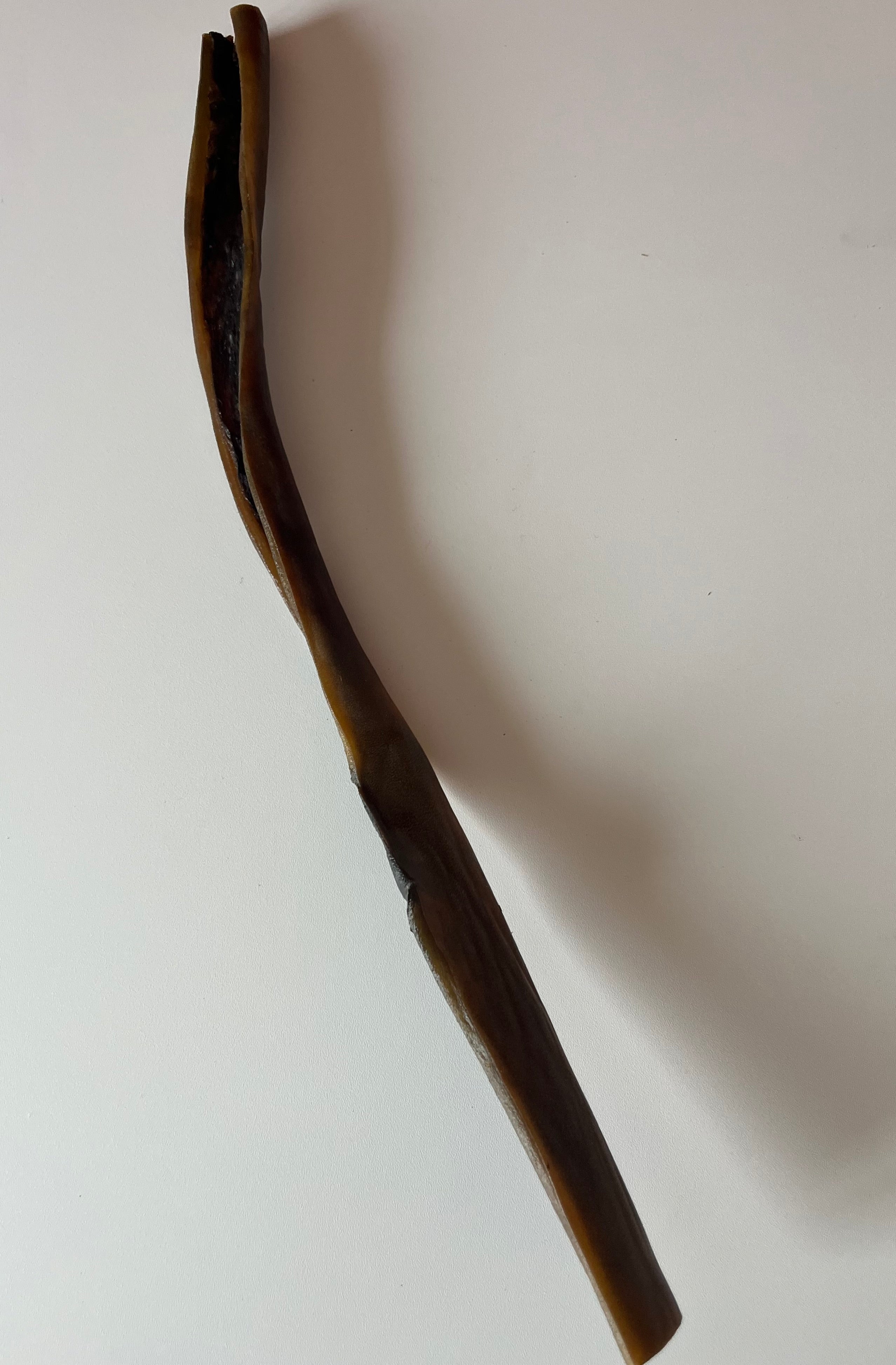 Peau de Sanglier 50CM