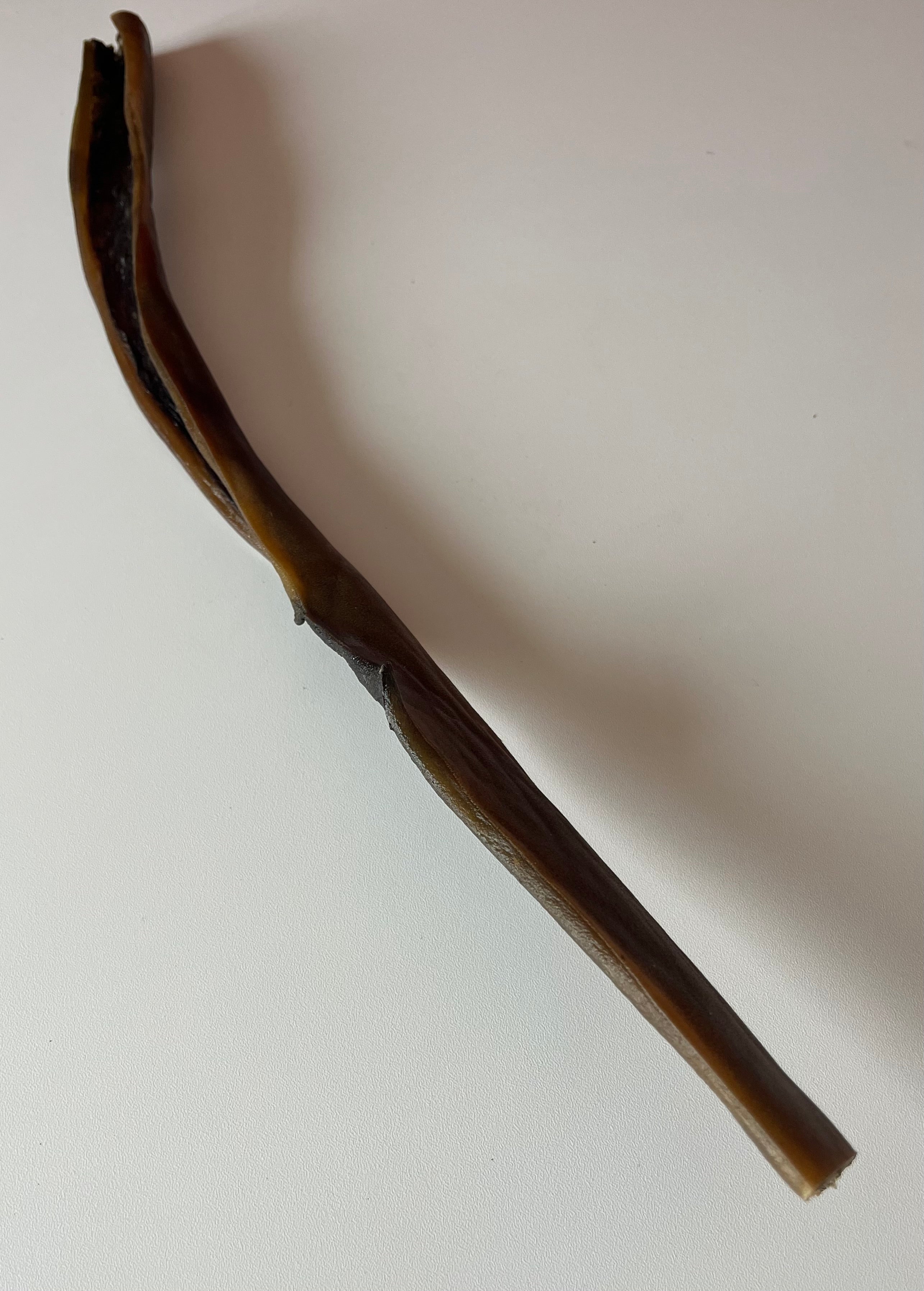 Peau de Sanglier 50CM
