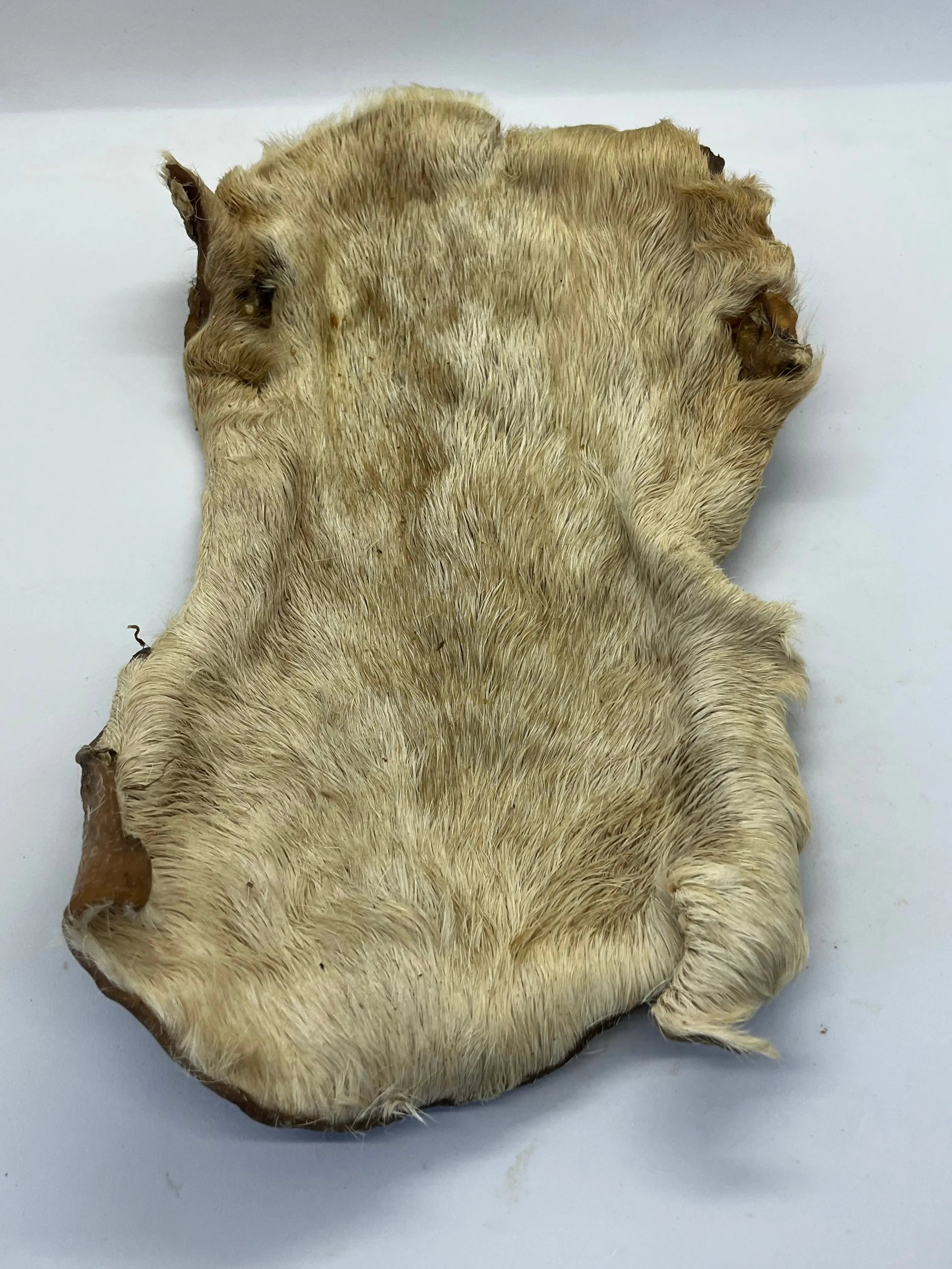 Plaque de Boeuf avec poils Trotte & Mastik